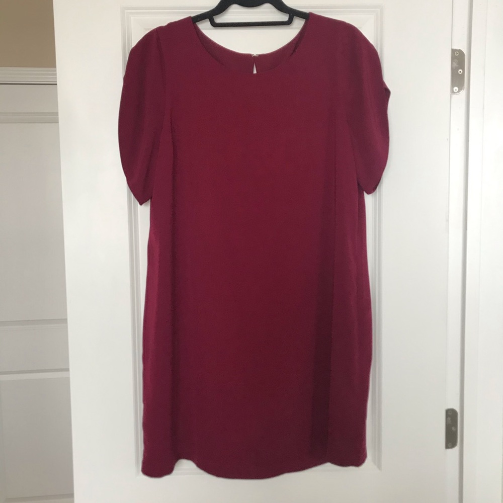 NWOT Dress